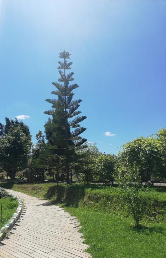 Posada Torre Del Milano Comillas Ngoại thất bức ảnh